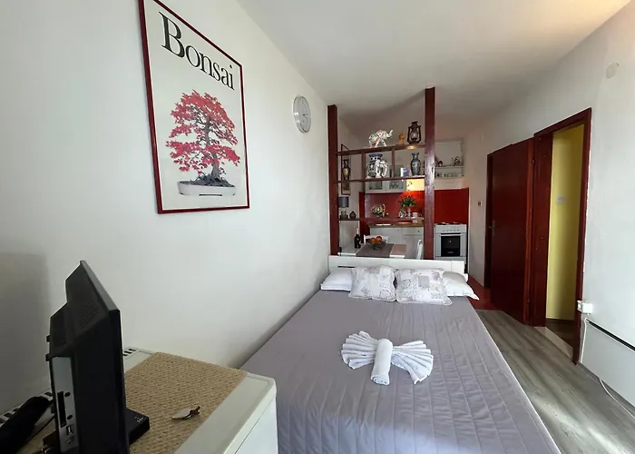 Seafront Apartment+balcony بودغورا