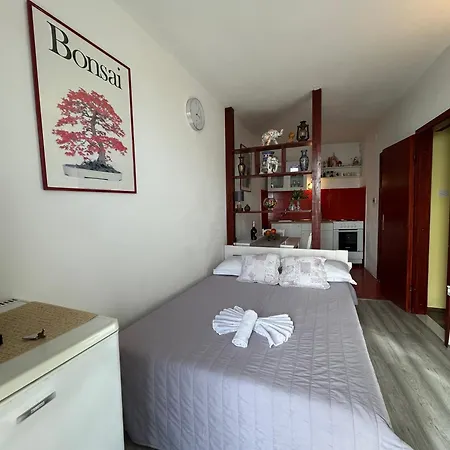 Seafront Apartment+balcony Podgora