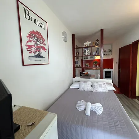 Seafront Apartment+balcony Podgora (Split-Dalmatia)